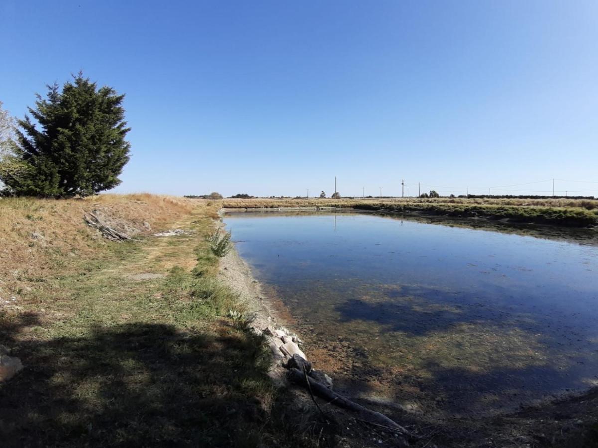 הוילה Bouin  Le Marais Chevalier מראה חיצוני תמונה